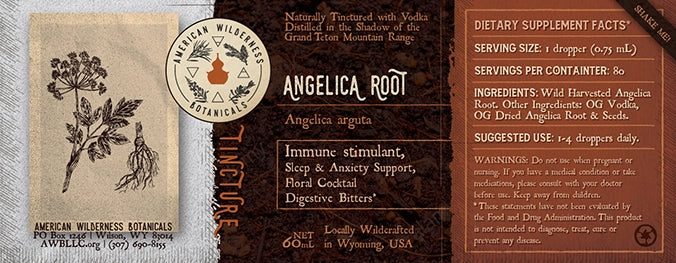 Angelica Root Tincture (Angelica arguta)