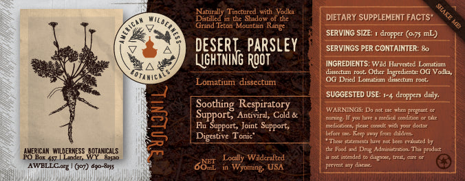 Desert Parsley Lightning Root (Lomatium dissectum)