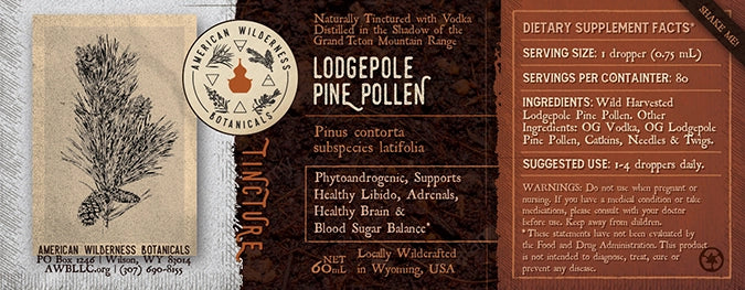 Lodgepole Pine Pollen Tincture (Pinus contorta subspecies latifolia)