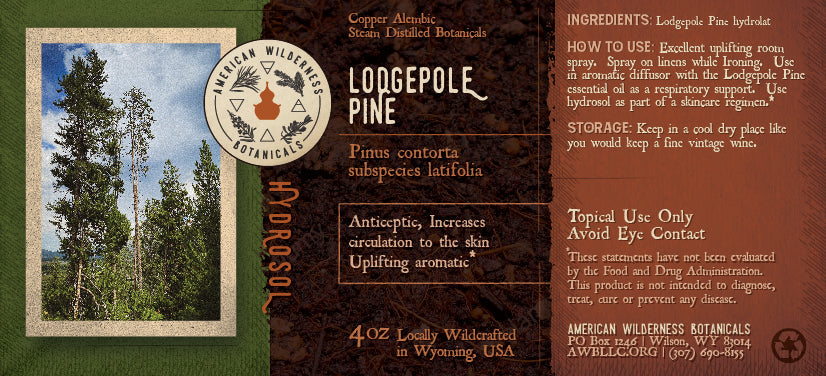 Lodgepole Pine Hydrosol (Pinus contorta subspecies latifolia)