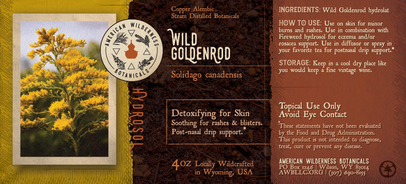 Wild Goldenrod Hydrosol (Solidago gigantea var. leiophylla)