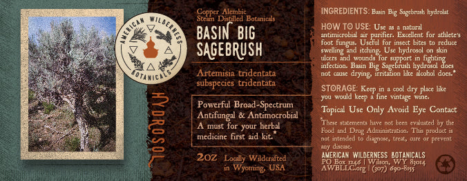 Basin Big Sagebrush Hydrosol (Artemisia tridentata subspecies tridentata)