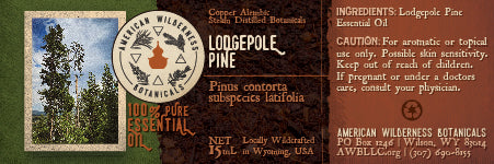 Lodgepole Pine Essential Oil (Pinus contorta subspecies latifolia)