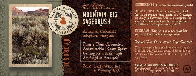 Mountain Big Sagebrush Hydrosol (Artemisia tridentata subspecies wyomingensis)