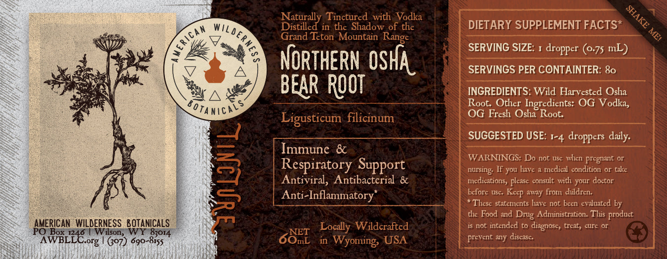 Northern Osha Bear Root Tincture (Ligusticum filicinum) 2 ounce bottle
