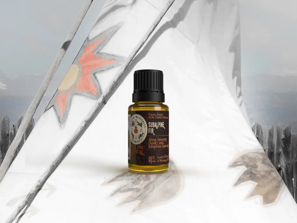 Rocky Mountain Fir Essential Oil (Abies lasiocarpa (hook.) nutt. var. lasiocarpa)