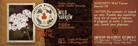 Wild Yarrow Essential Oil (Achillea millefolium)