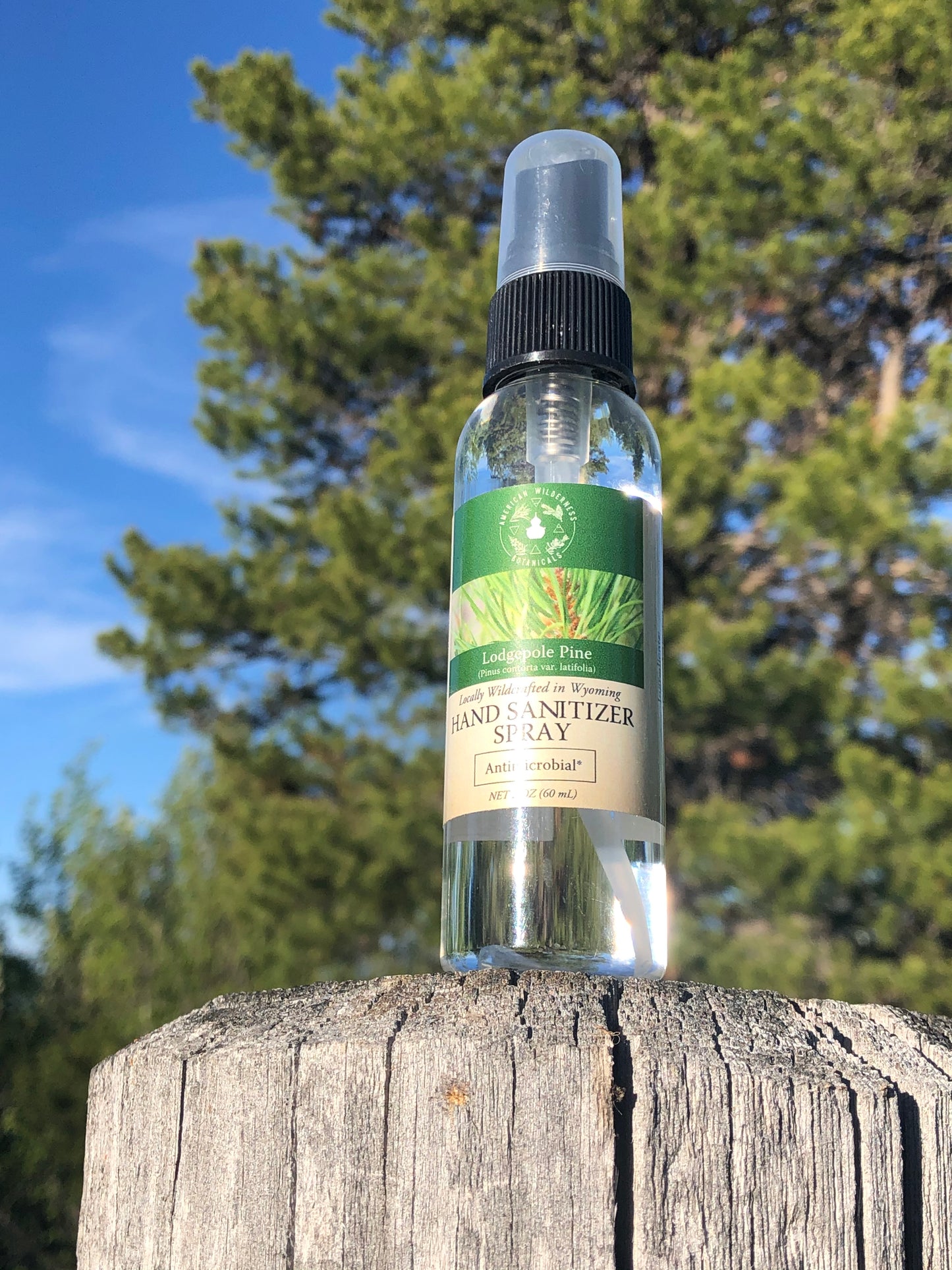 Lodgepole Pine Aromatic Hand & Surface Spray