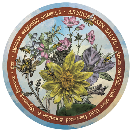 Arnica Pain Salve